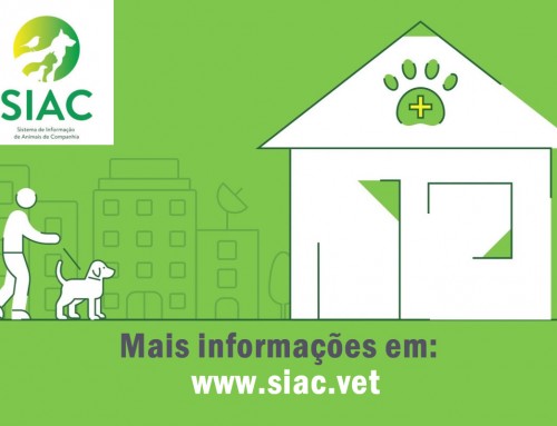 Registo de Novos Animais entrou em Vigor 25/10/2019